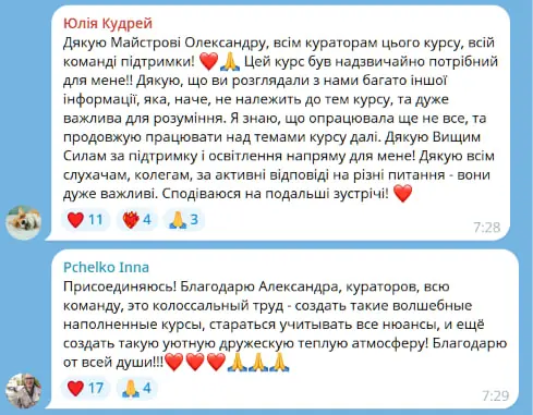 Отзыв участника 6